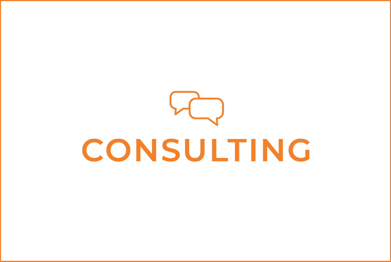 consulting services in tampa bay