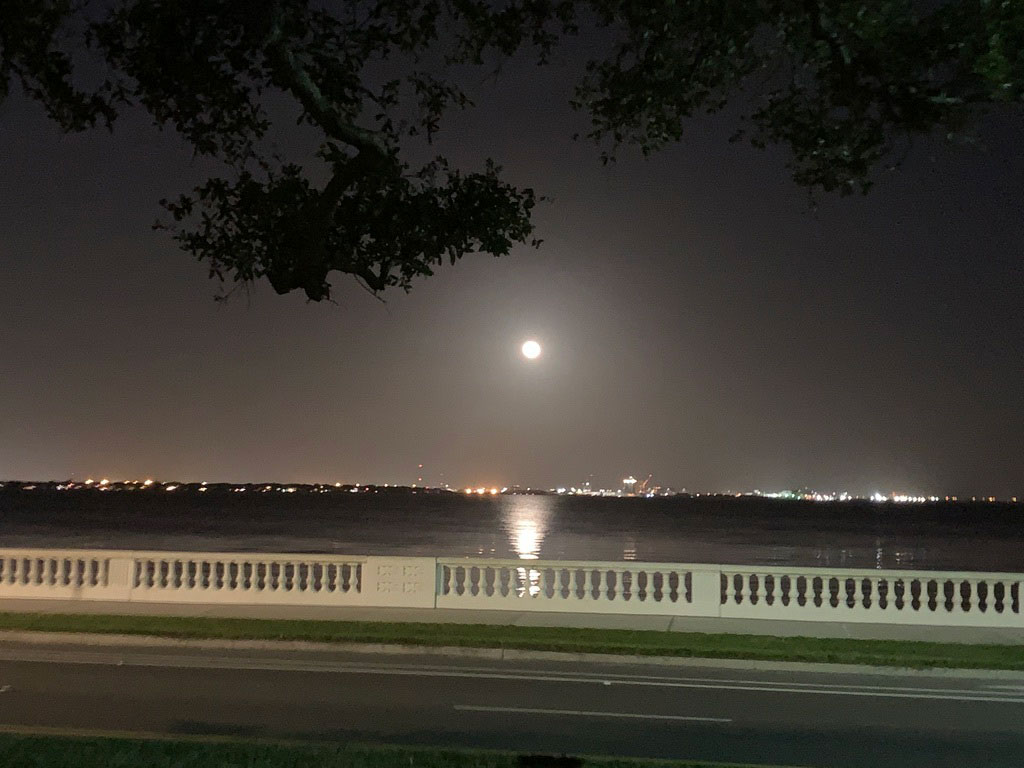 bayshore blvd